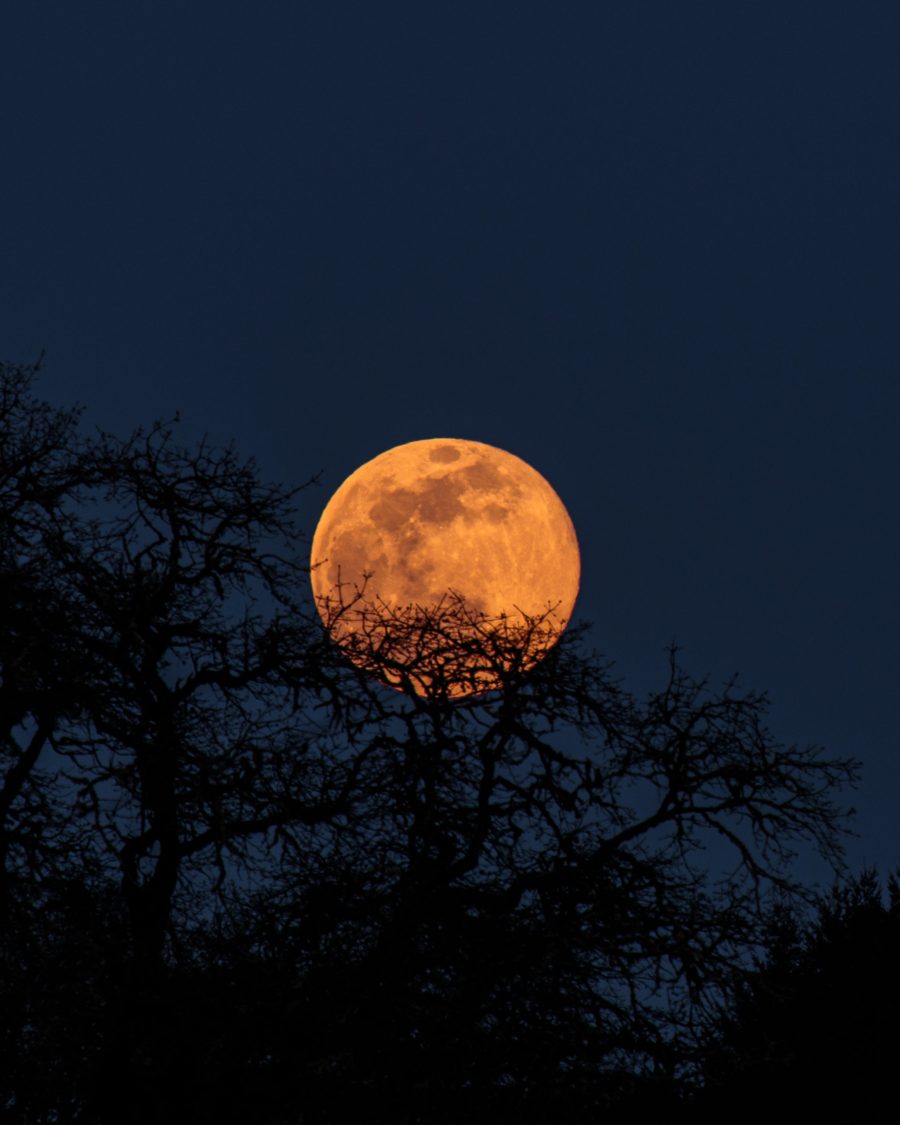 Passover Full Super Pink Moon Phone Wallpaper